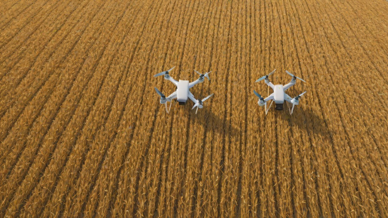 Semantic Segmentation Technology