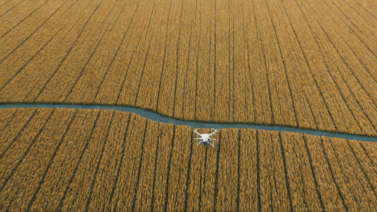 Challenges and Limitations