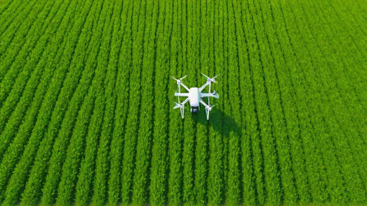 Understanding the Basics of Carbon Footprint Analysis