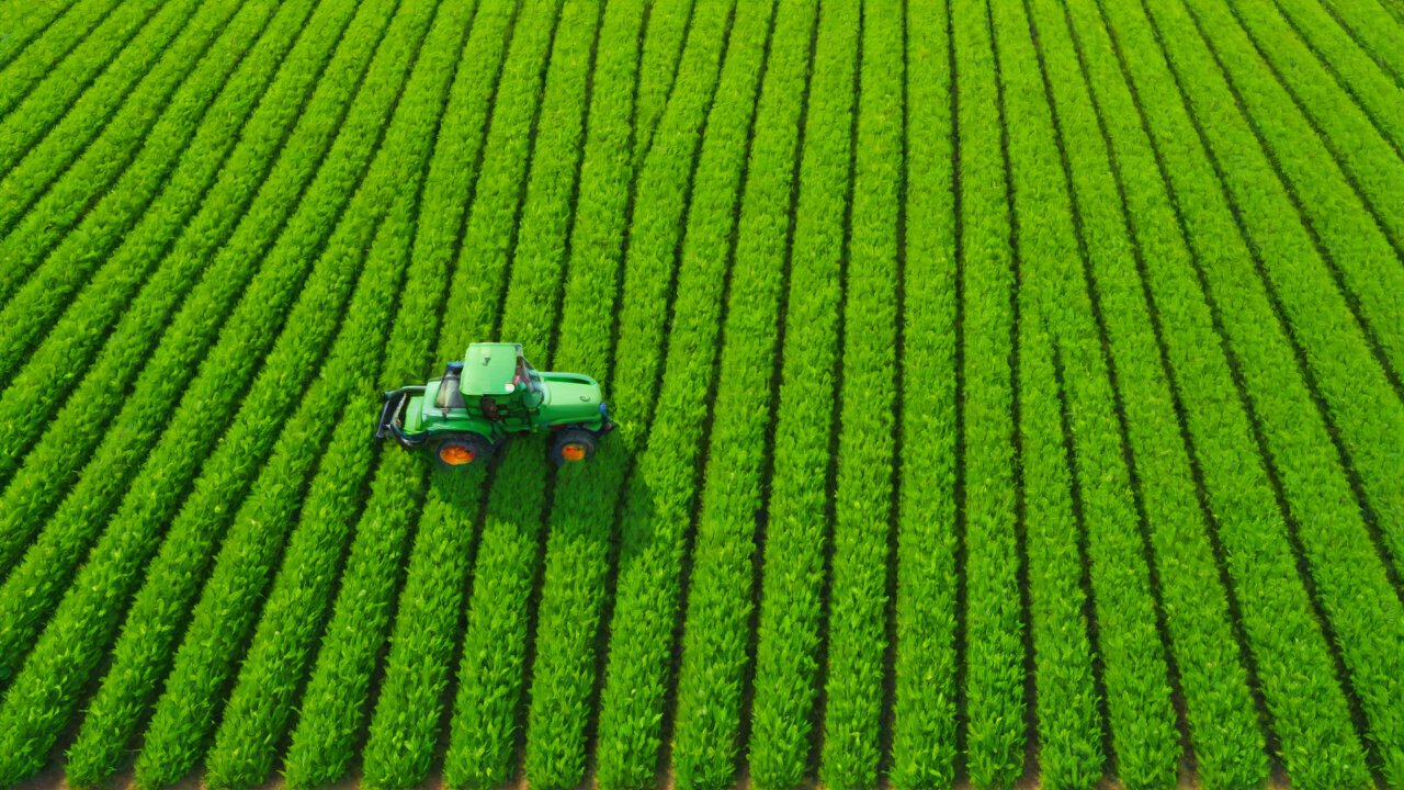 Policy Dividends for the Low-Altitude Economy