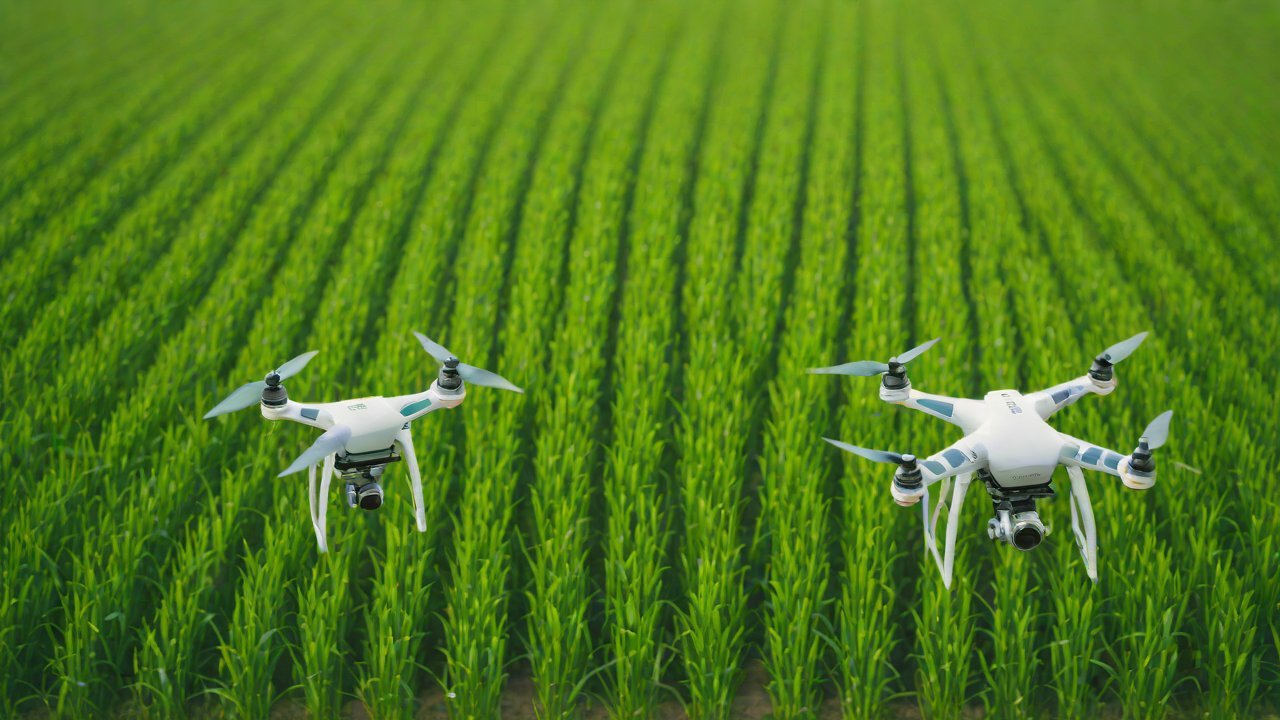 Market Trends and Drivers