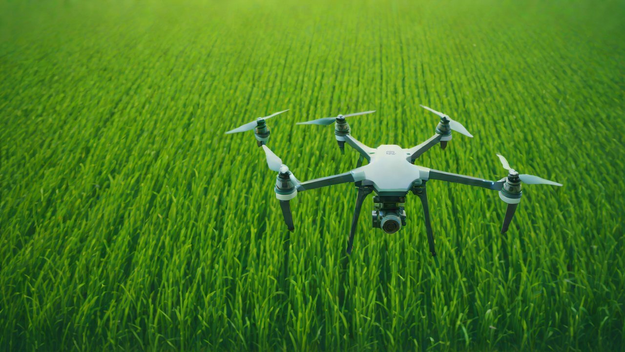 Market Opportunities and Competitive Landscape