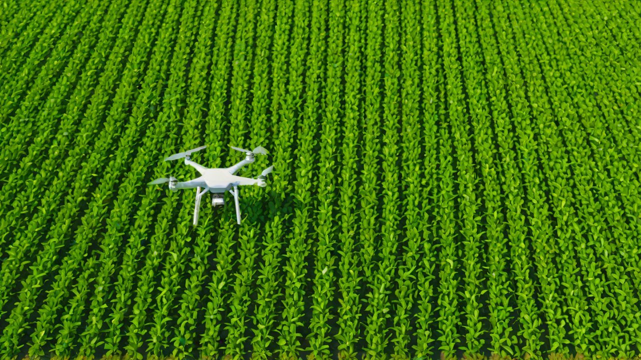 Regulatory Framework and Environmental Impact