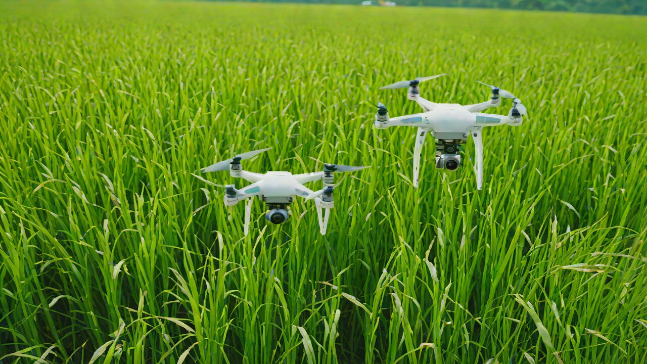 The Downdraft Wind Field from Drones