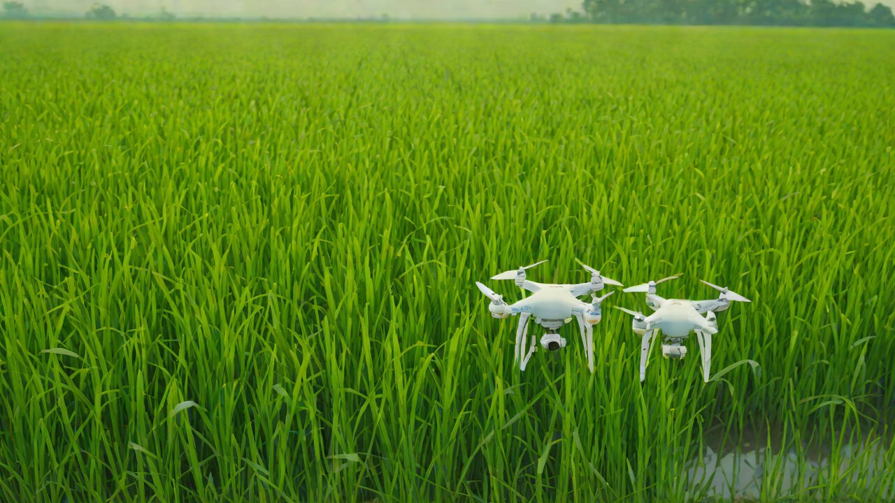 Market Data and Trends