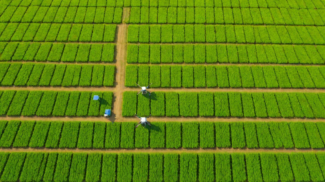 Top 10 Leading Agricultural IoT (AgTech) Companies in Brazil
