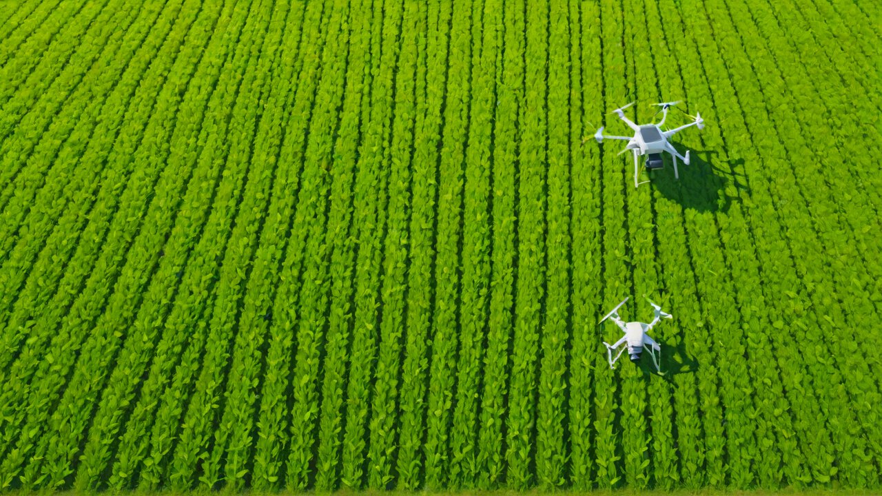 Analysis of Investment and Financing Trends in Brazilian Agricultural IoT