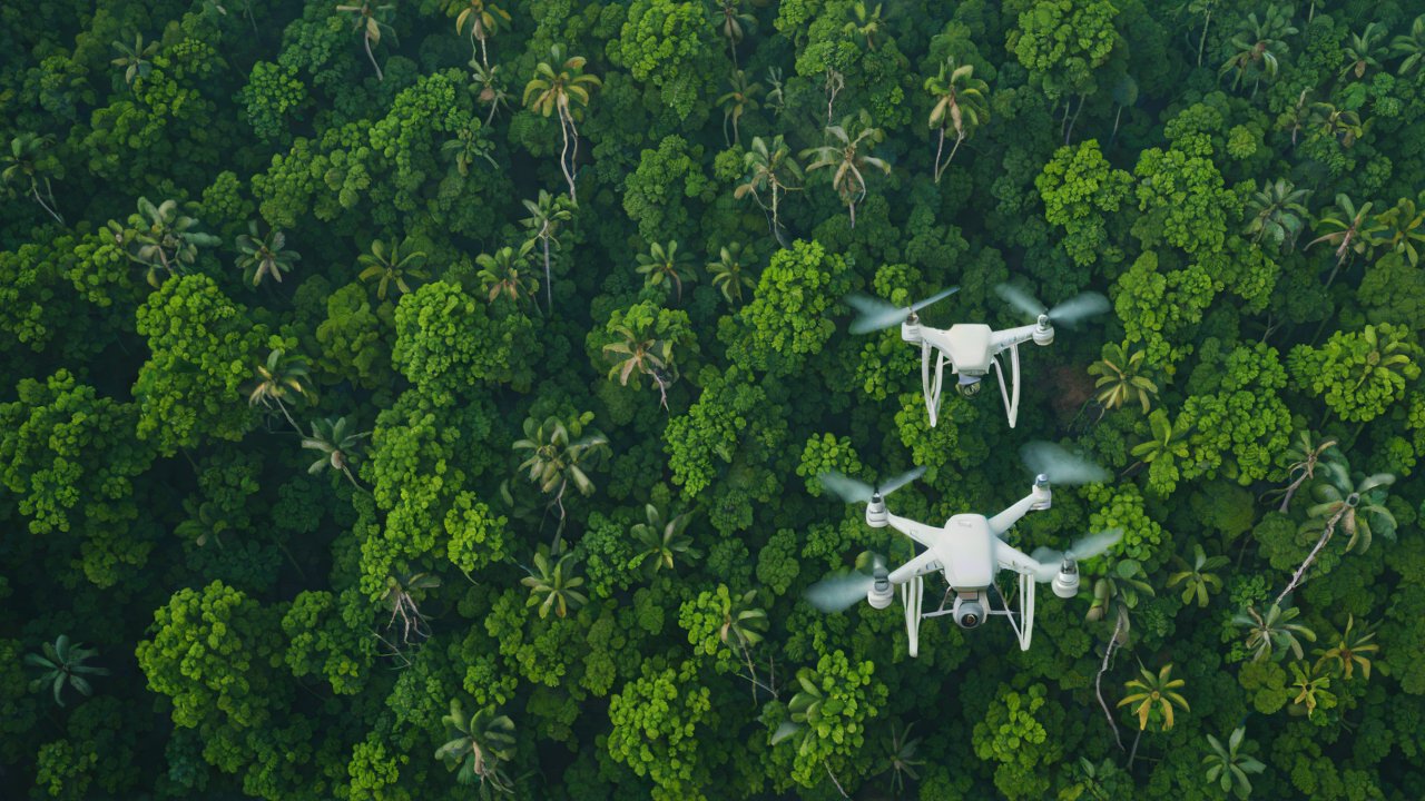 Brazil’s Remote Monitoring IoT System for Forest Fire Prevention