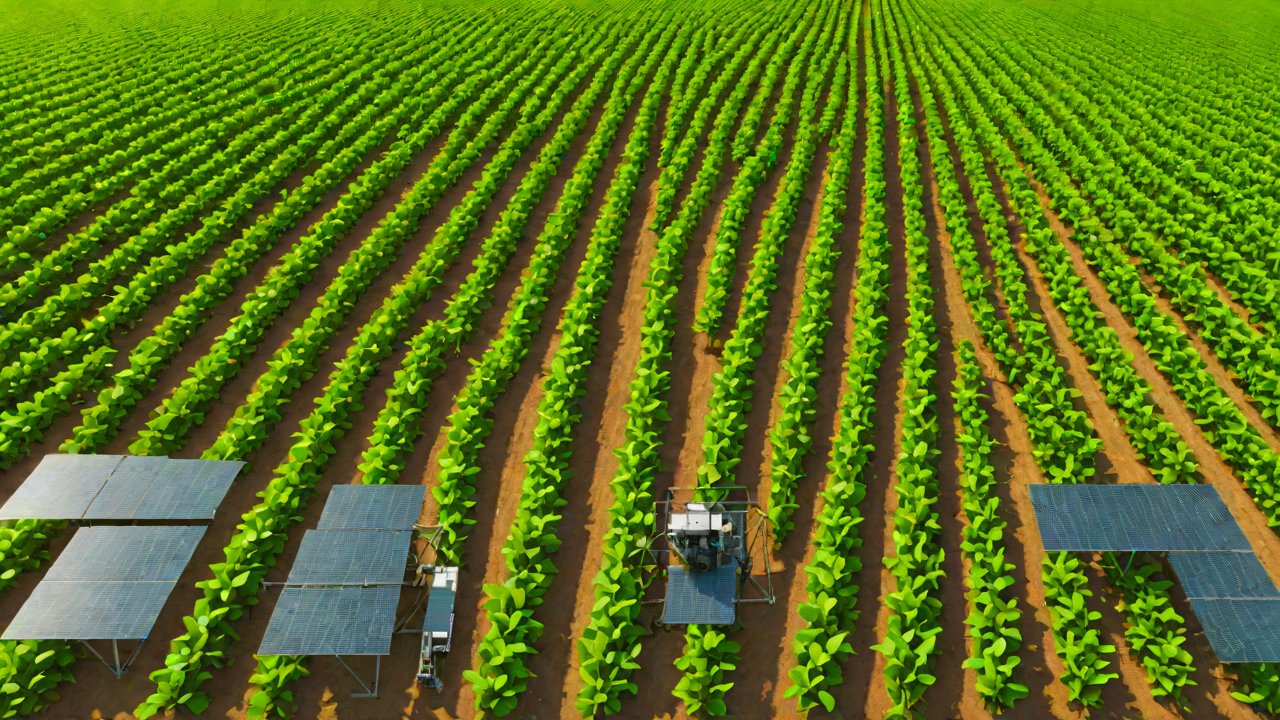 5 Most Widely Used IoT Technologies in Brazilian Soybean Cultivation