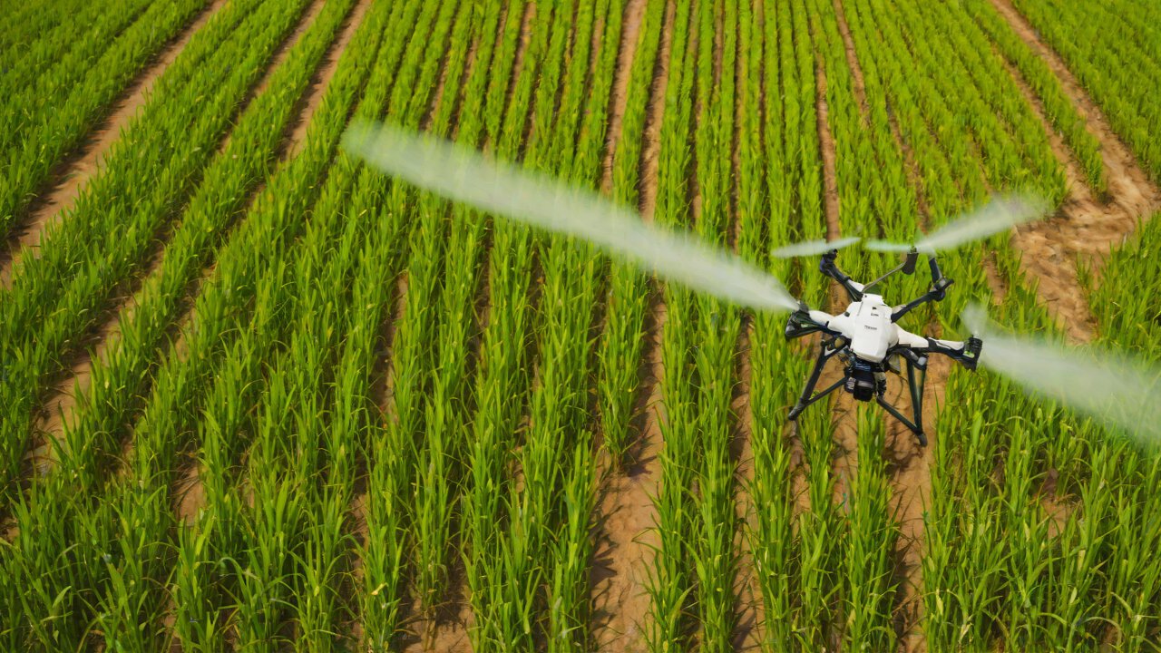 10 IoT Solutions for Automated Sugarcane Harvesting in Brazil