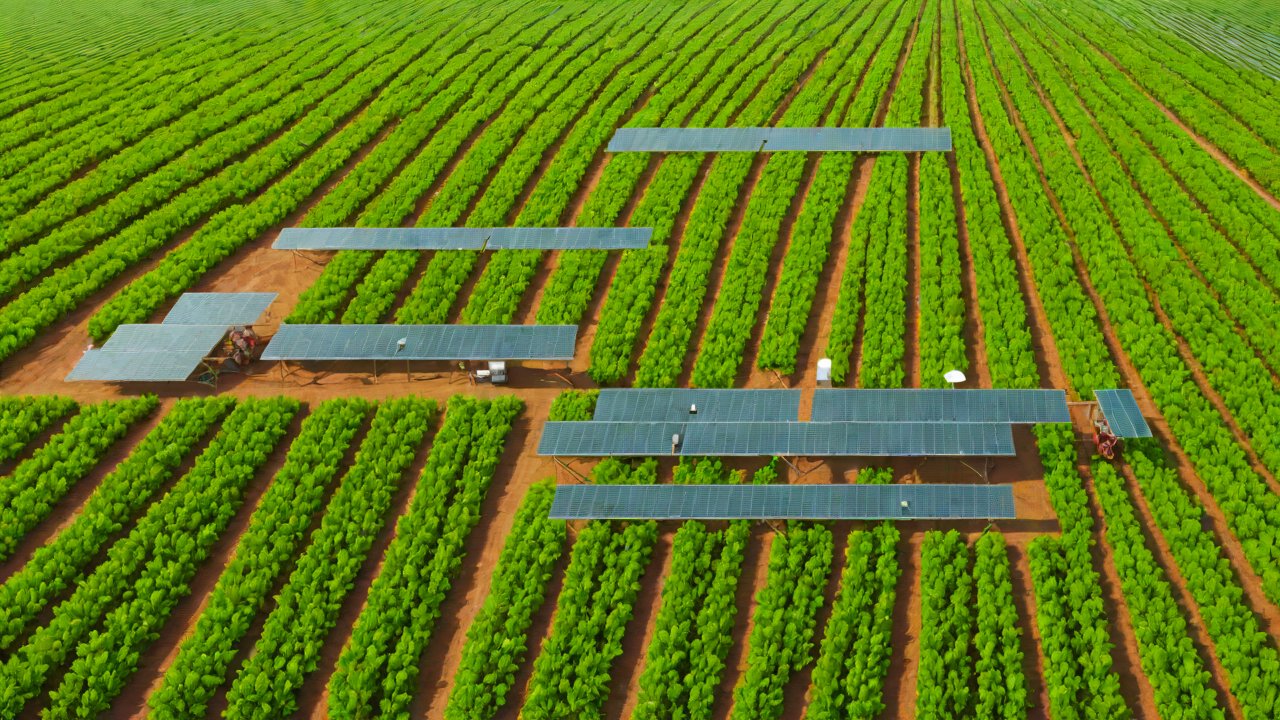 7 Advantages of IoT Systems for Precision Irrigation in Brazil