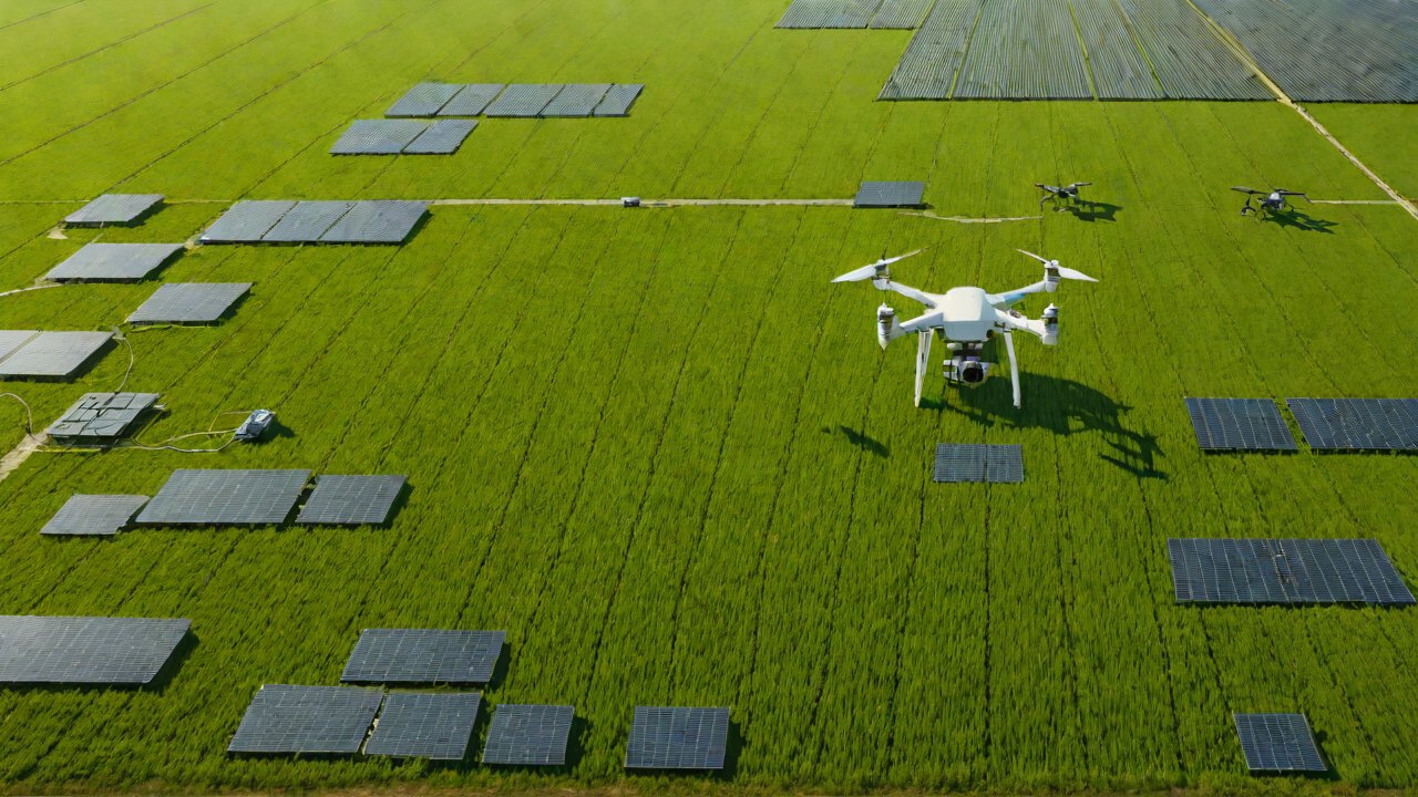 Rankings of IoT Smart Agent Companies in the US Agriculture Sector