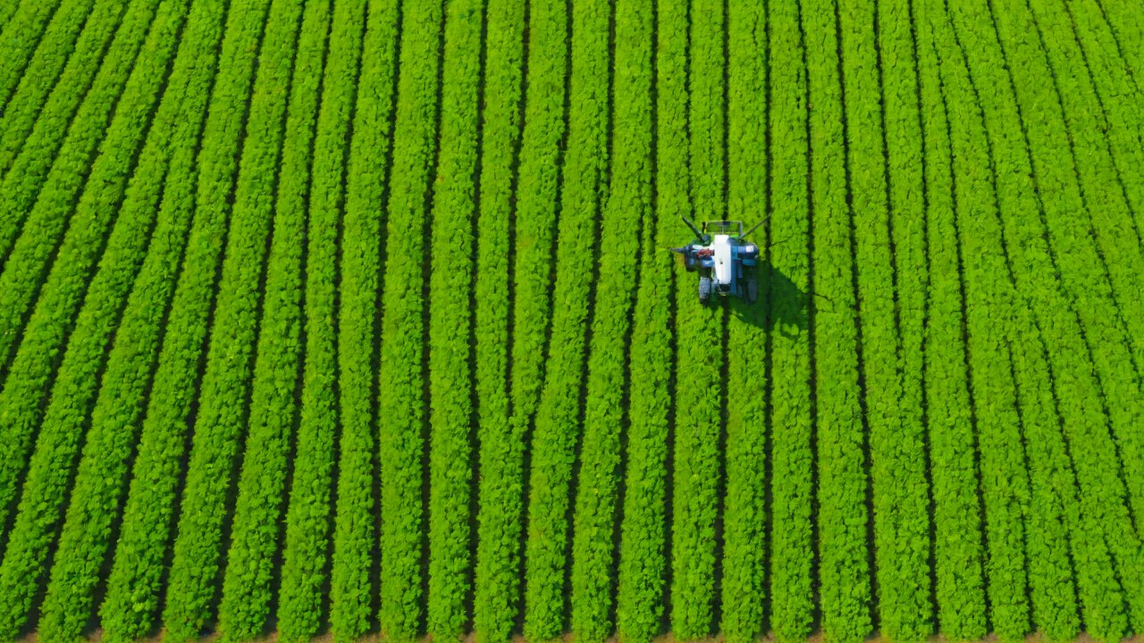 Singapore Precision Agriculture Sensor Manufacturers and Distribution Channels
