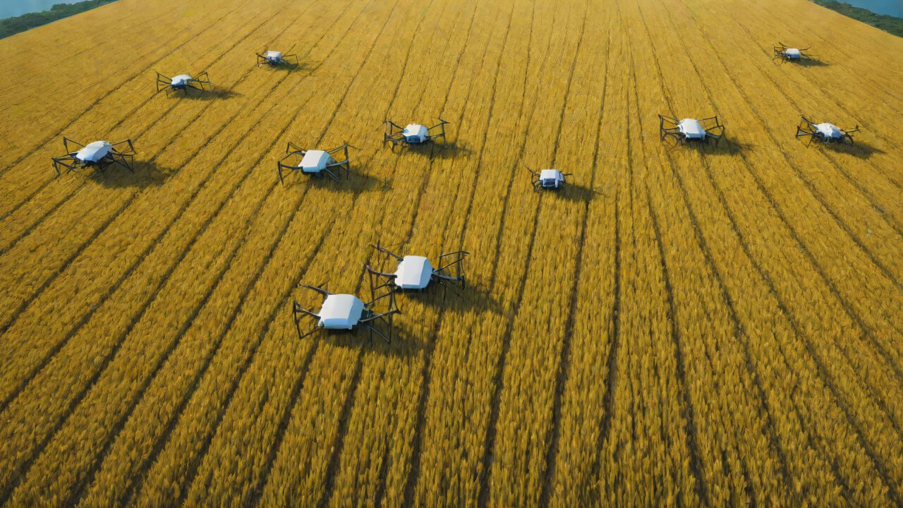 Top 5 IoT Manufacturers Focused on Smart Agriculture in Russia