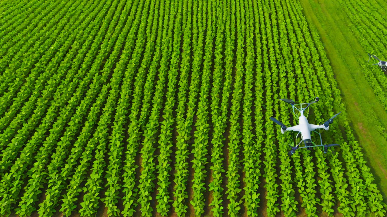 Drones with Multispectral Cameras