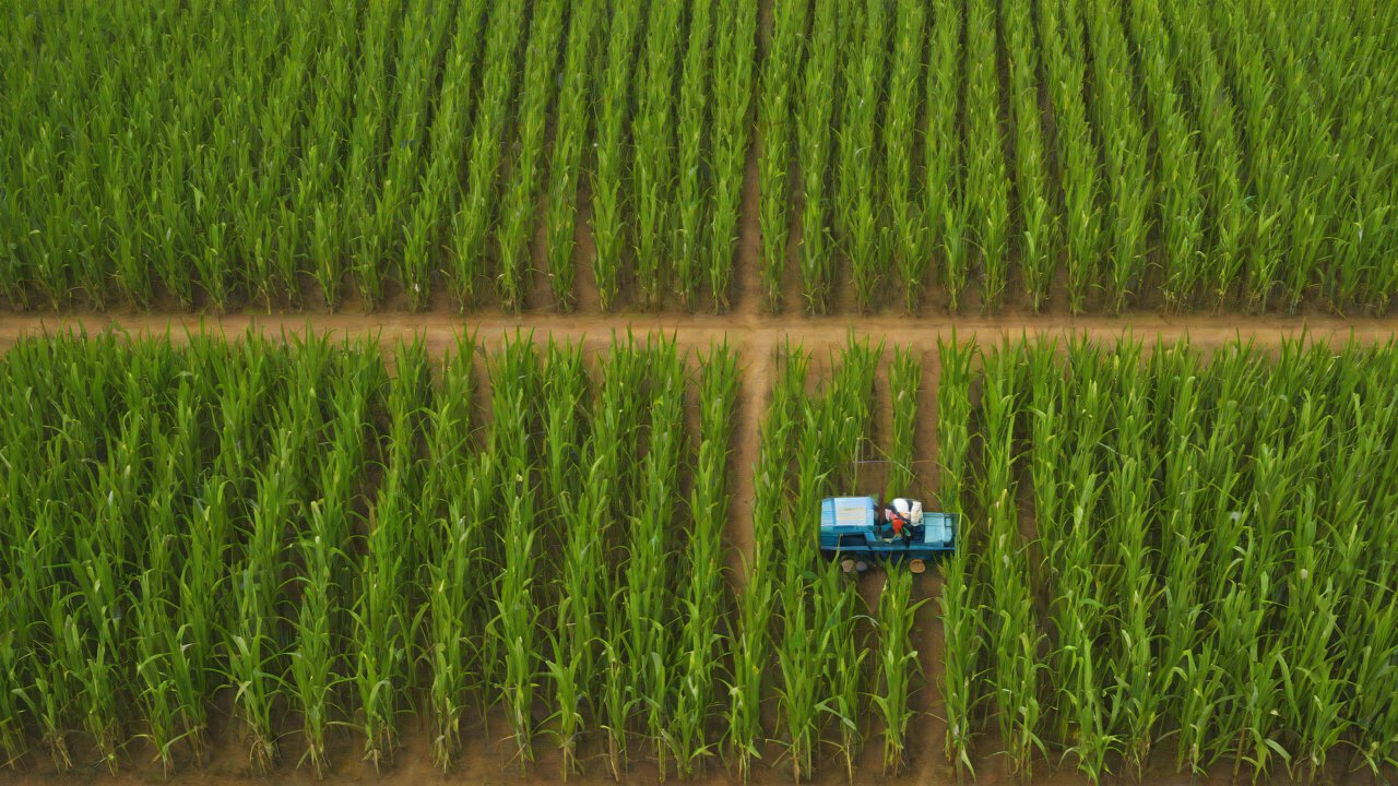 IoT Solutions for Automated Sugarcane Harvesting in Brazil