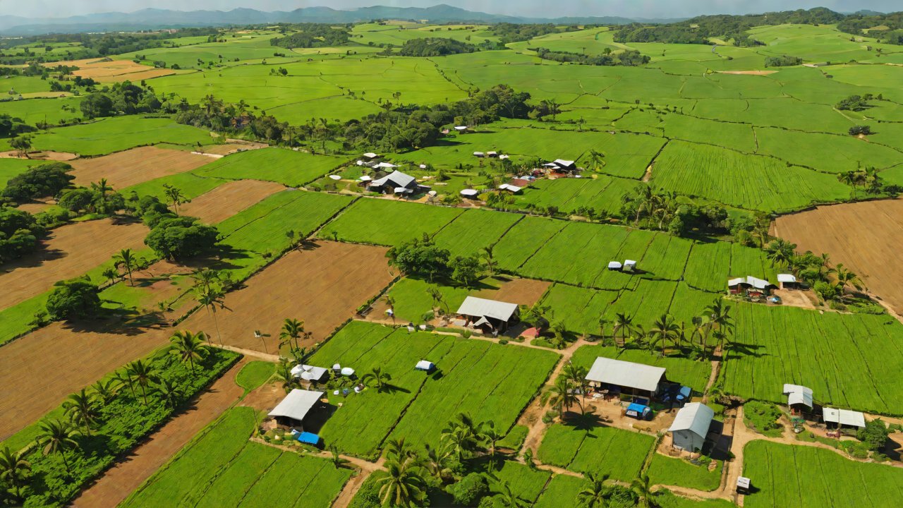 Crop Monitoring with Drones