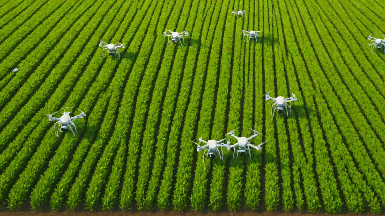 Top IoT Smart Agent Companies in US Agriculture